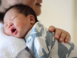 代生包男孩机构